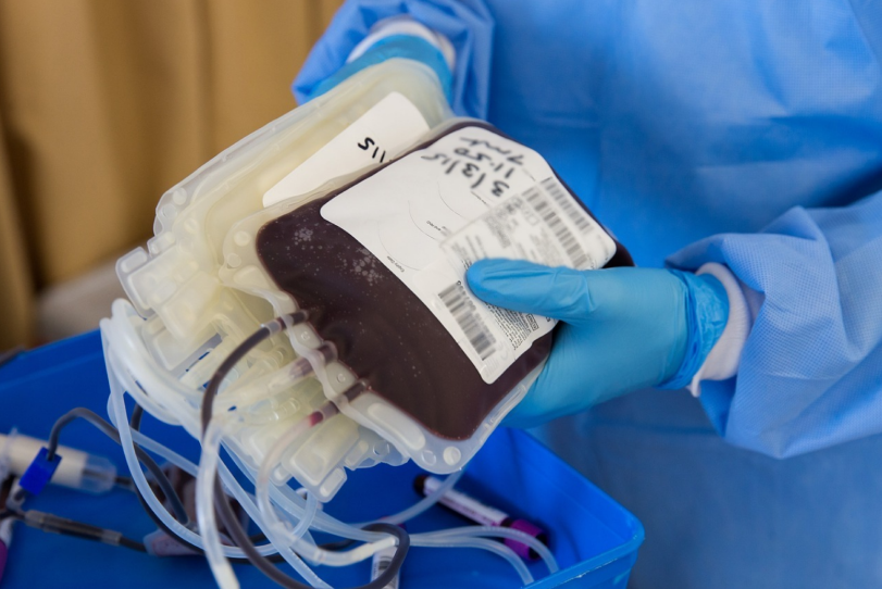 blood donations bags in a tray being handled by a medical professional